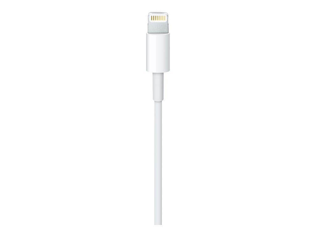 Apple lighting to usb cable (2m)