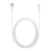 Apple lighting to usb cable (2m)