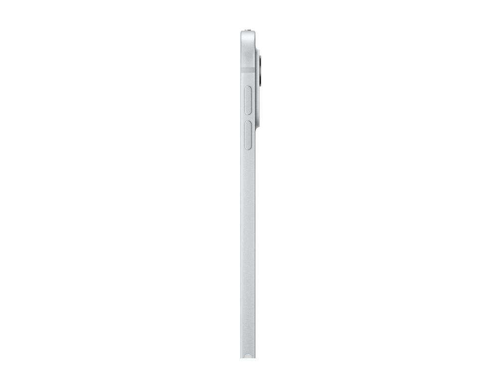 11-inch iPad Pro WiFi 256GB with Standard glass - Silver