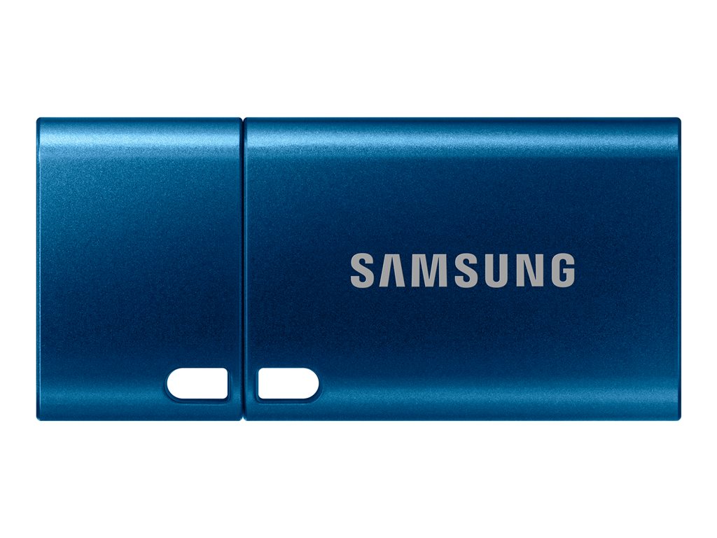 SAMSUNG USB Type-C 64Go 300MB/s USB 3.1 Flash Drive BE (P)