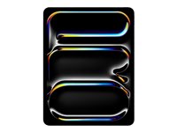 13-inch iPad Pro WiFi 512GB with Standard glass - Space Black