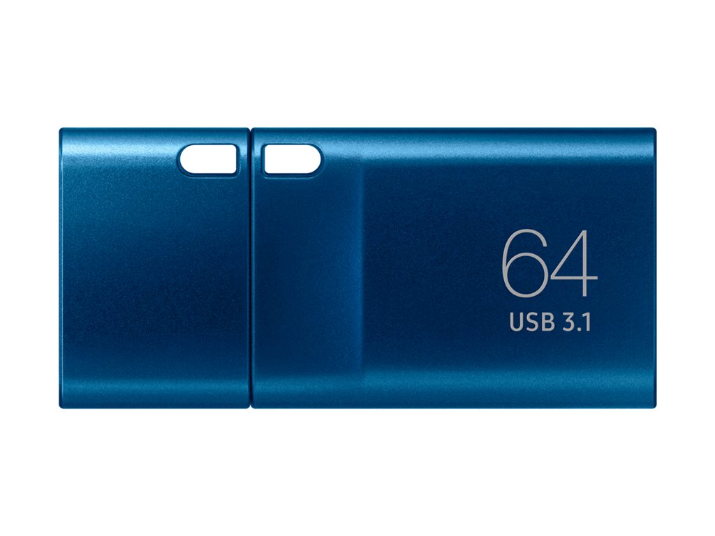 SAMSUNG USB Type-C 64Go 300MB/s USB 3.1 Flash Drive BE (P)