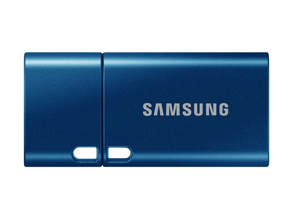 SAMSUNG USB Type-C 256Go 400MB/s USB 3.1 Flash Drive BE (P)