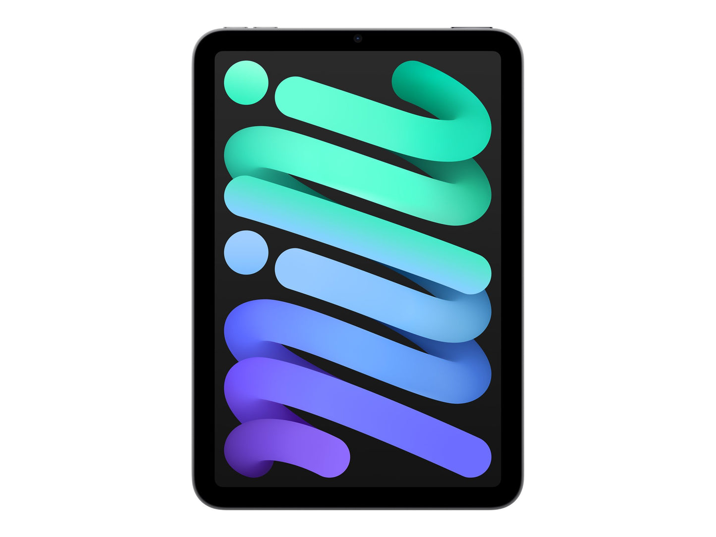 iPad mini Wi-Fi 256GB - Space Grey