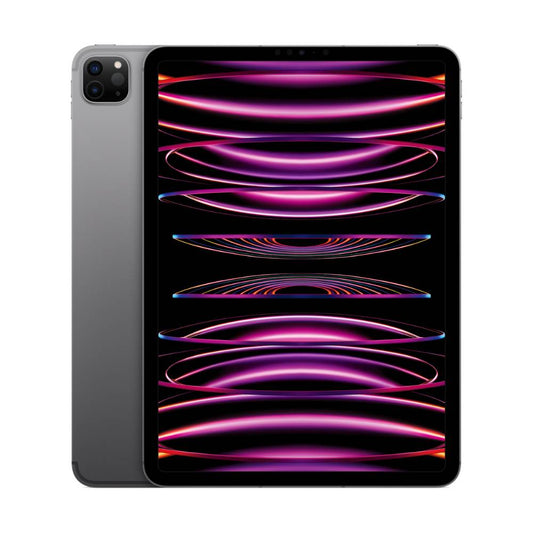 iPad Pro 11 M2 Wifi + Cellular 1To Gray